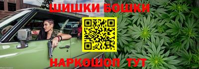 МДПВ Будённовск