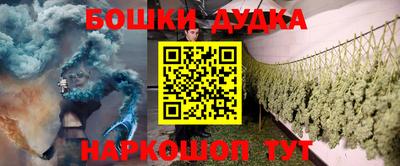 МДПВ Будённовск