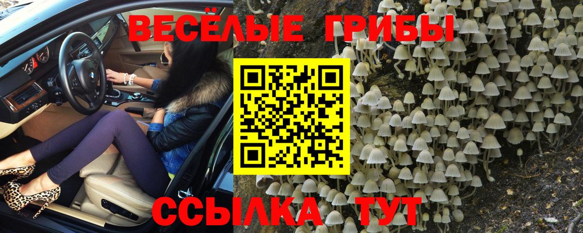 Октябрьский  Псилоцибиновые грибы ЛСД  Вход с VPN 